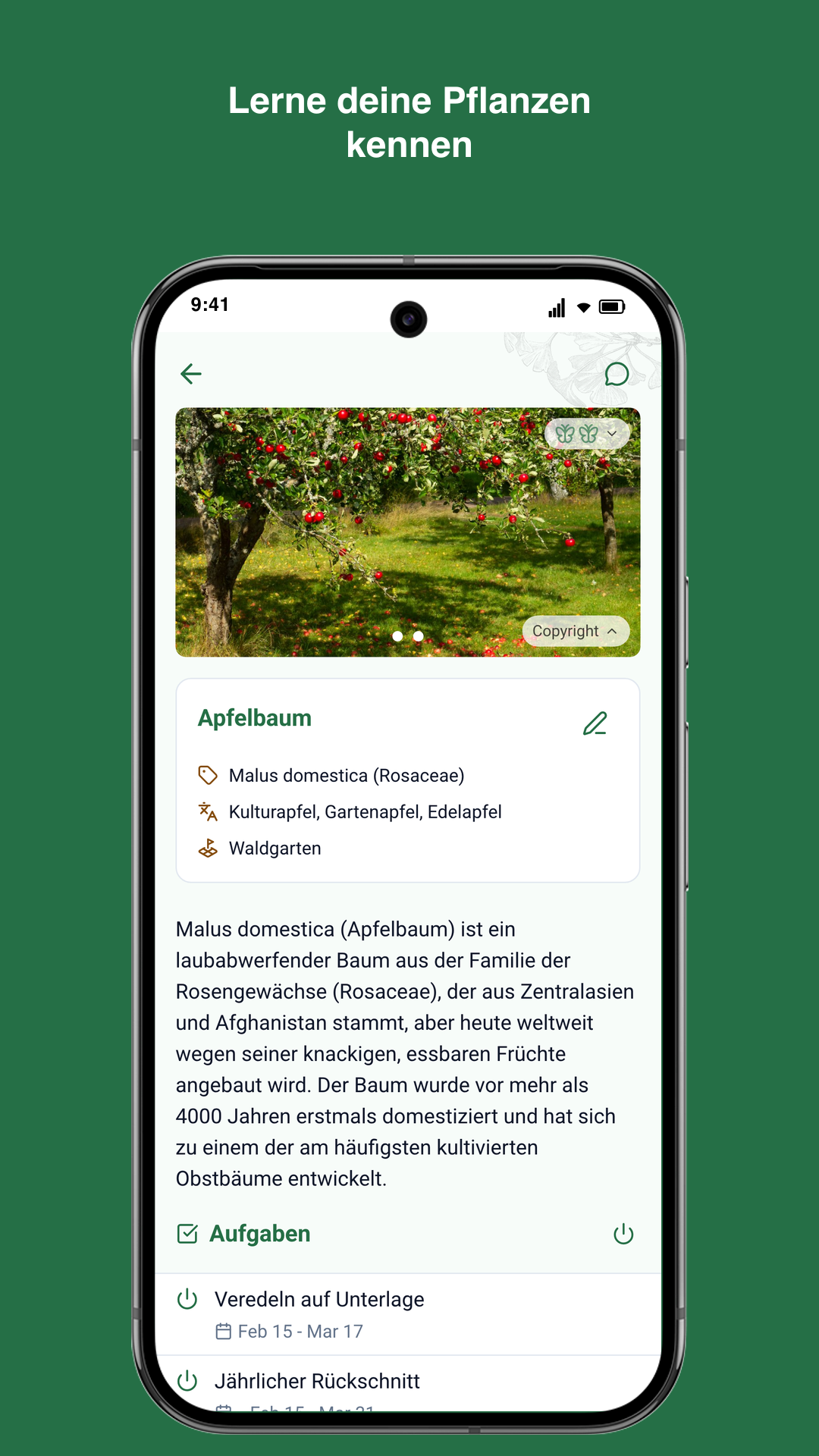 Gardiflora-App zeigt detaillierte Pflanzeninformationen mit Pflegehinweisen