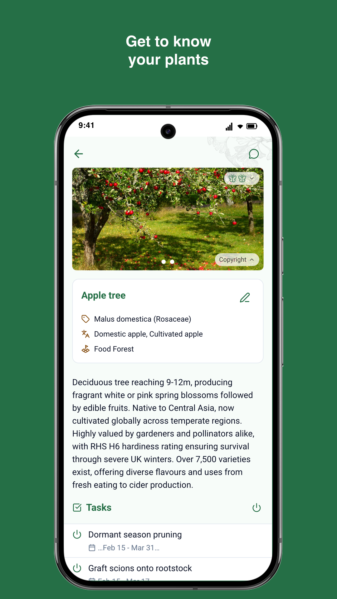 Gardiflora app showing detailed plant information with care instructions