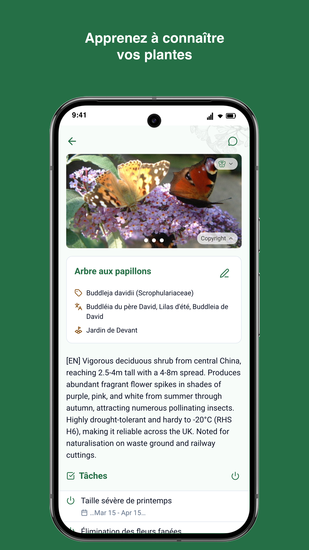 Application Gardiflora montrant les informations détaillées d'une plante avec conseils d'entretien